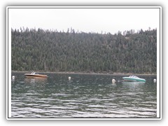 IMG_8795