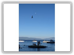 IMG_1223